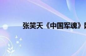 张笑天《中国军魂》网站负责人相关内容介绍