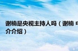 谢楠是央视主持人吗（谢楠 中国内地女主持人、演员相关内容简介介绍）