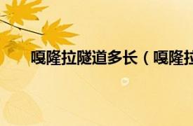 嘎隆拉隧道多长（嘎隆拉山隧道相关内容简介介绍）