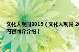 文化大观园2015（文化大观园 2007年中国友谊出版公司出版的图书相关内容简介介绍）