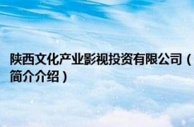 陕西文化产业影视投资有限公司（陕西追风影视文化传播有限公司相关内容简介介绍）