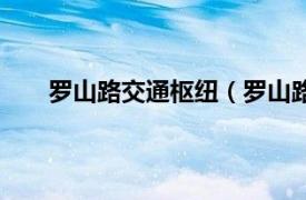 罗山路交通枢纽（罗山路立交桥相关内容简介介绍）