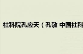 社科院孔应天（孔敬 中国社科院副研究馆员相关内容简介介绍）