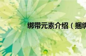 绑带元素介绍（捆绑带相关内容简介介绍）