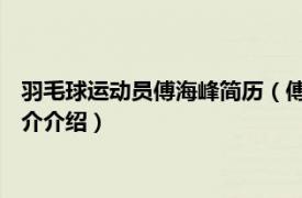 羽毛球运动员傅海峰简历（傅海峰 中国羽毛球运动员相关内容简介介绍）