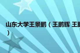 山东大学王景鹏（王鹏辉 王鹏辉山东大学教授相关内容简介介绍）