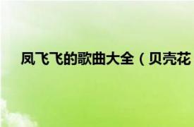 凤飞飞的歌曲大全（贝壳花 凤飞飞歌曲相关内容简介介绍）