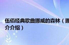 伍佰经典歌曲挪威的森林（挪威的森林 伍佰演唱歌曲相关内容简介介绍）