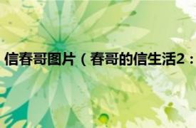 信春哥图片（春哥的信生活2：信春哥信生活相关内容简介介绍）