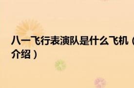 八一飞行表演队是什么飞机（空军八一飞行表演队相关内容简介介绍）