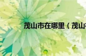 茂山市在哪里（茂山街道相关内容简介介绍）