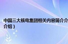 中国三大核电集团相关内容简介介绍英文（中国三大核电集团相关内容简介介绍）