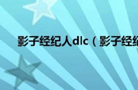 影子经纪人dlc（影子经纪人 游戏相关内容简介介绍）