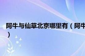 阿牛与仙草北京哪里有（阿牛与仙草 航天桥店相关内容简介介绍）