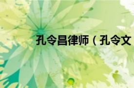 孔令昌律师（孔令文 律师相关内容简介介绍）