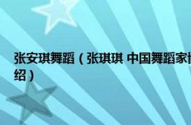 张安琪舞蹈（张琪琪 中国舞蹈家协会认证的注册舞蹈教师相关内容简介介绍）