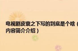 电视剧皮囊之下写的到底是个啥（宋辞 电视剧《皮囊之下》中的角色相关内容简介介绍）