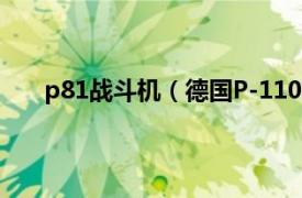 p81战斗机（德国P-1101战斗机相关内容简介介绍）