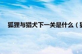 狐狸与猎犬下一关是什么（狐狸与猎狗1相关内容简介介绍）