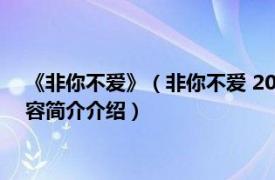 《非你不爱》（非你不爱 2015年青岛出版社出版的图书相关内容简介介绍）