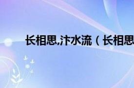 长相思,汴水流（长相思汴水流相关内容简介介绍）