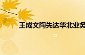 王成文陶先达华北业务运营原组长相关内容介绍