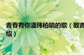 青春有你潘玮柏唱的歌（致青春 潘玮柏演唱歌曲相关内容简介介绍）