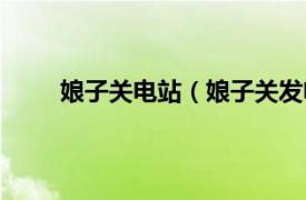 娘子关电站（娘子关发电厂志相关内容简介介绍）