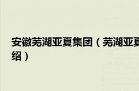 安徽芜湖亚夏集团（芜湖亚夏汽车股份有限公司相关内容简介介绍）