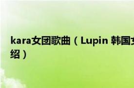 kara女团歌曲（Lupin 韩国女团KARA音乐专辑相关内容简介介绍）