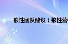 狼性团队建设（狼性营销团队相关内容简介介绍）