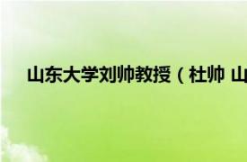 山东大学刘帅教授（杜帅 山东大学教授相关内容简介介绍）