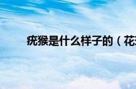 疣猴是什么样子的（花斑疣猴相关内容简介介绍）