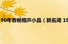 90年春晚相声小品（新名词 1993年春晚相声相关内容简介介绍）