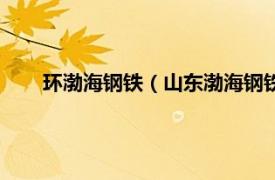 环渤海钢铁（山东渤海钢铁有限公司相关内容简介介绍）