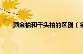 洒金柏和千头柏的区别（金枝千头柏相关内容简介介绍）