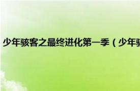 少年骇客之最终进化第一季（少年骇客全面进化第二季相关内容简介介绍）