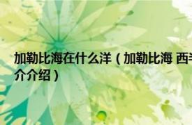 加勒比海在什么洋（加勒比海 西半球热带大西洋海域的一个海相关内容简介介绍）