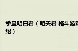 拳皇明日君（明天君 格斗游戏《拳皇》中的角色相关内容简介介绍）