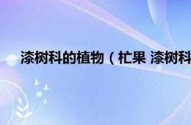 漆树科的植物（杧果 漆树科杧果属植物相关内容简介介绍）