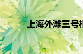 上海外滩三号相关内容简介介绍