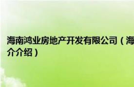 海南鸿业房地产开发有限公司（海南鸿洲置业集团股份有限公司相关内容简介介绍）