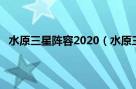 水原三星阵容2020（水原三星后备队相关内容简介介绍）