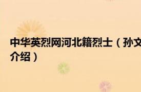 中华英烈网河北籍烈士（孙文德 河北省无极籍烈士相关内容简介介绍）