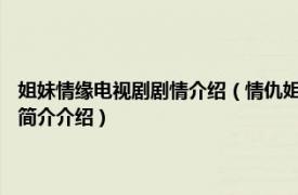 姐妹情缘电视剧剧情介绍（情仇姐妹 2012年中国大陆电视连续剧相关内容简介介绍）