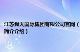 江苏舜天国际集团有限公司官网（江苏舜天国际集团创业有限公司相关内容简介介绍）