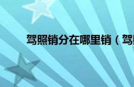 驾照销分在哪里销（驾照销分相关内容简介介绍）