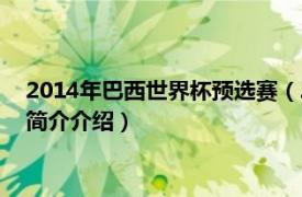 2014年巴西世界杯预选赛（2014年巴西世界杯小组赛相关内容简介介绍）