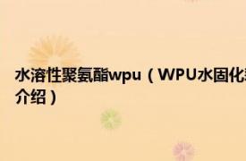 水溶性聚氨酯wpu（WPU水固化彩色环保型聚氨酯防水涂料相关内容简介介绍）