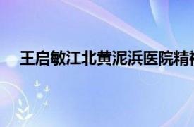 王启敏江北黄泥浜医院精神卫生从业人员相关内容简介